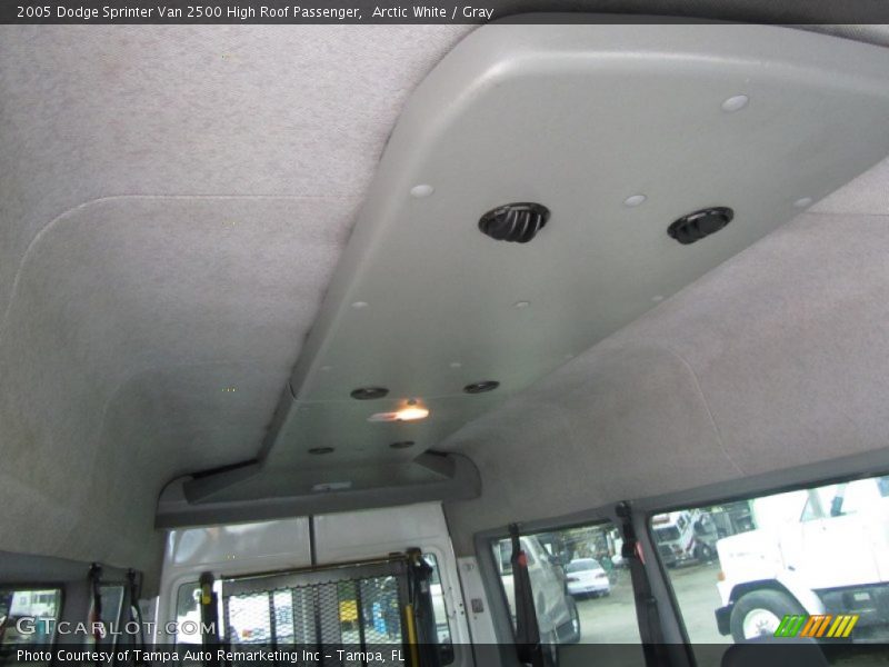 Arctic White / Gray 2005 Dodge Sprinter Van 2500 High Roof Passenger