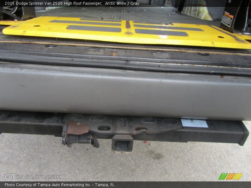Arctic White / Gray 2005 Dodge Sprinter Van 2500 High Roof Passenger
