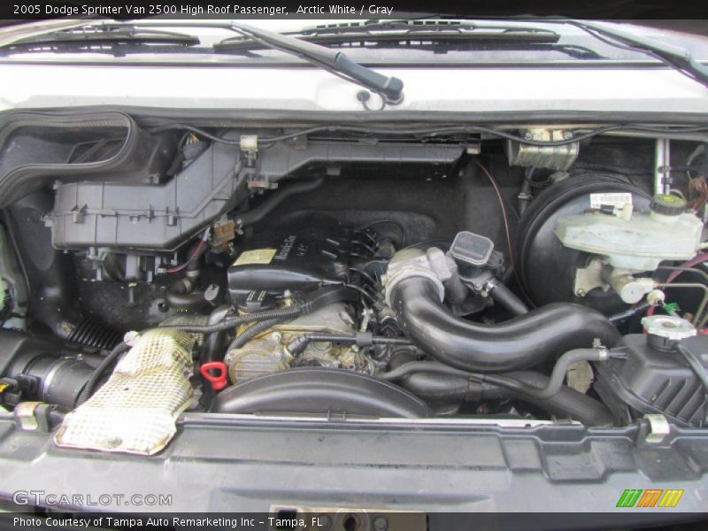 Arctic White / Gray 2005 Dodge Sprinter Van 2500 High Roof Passenger