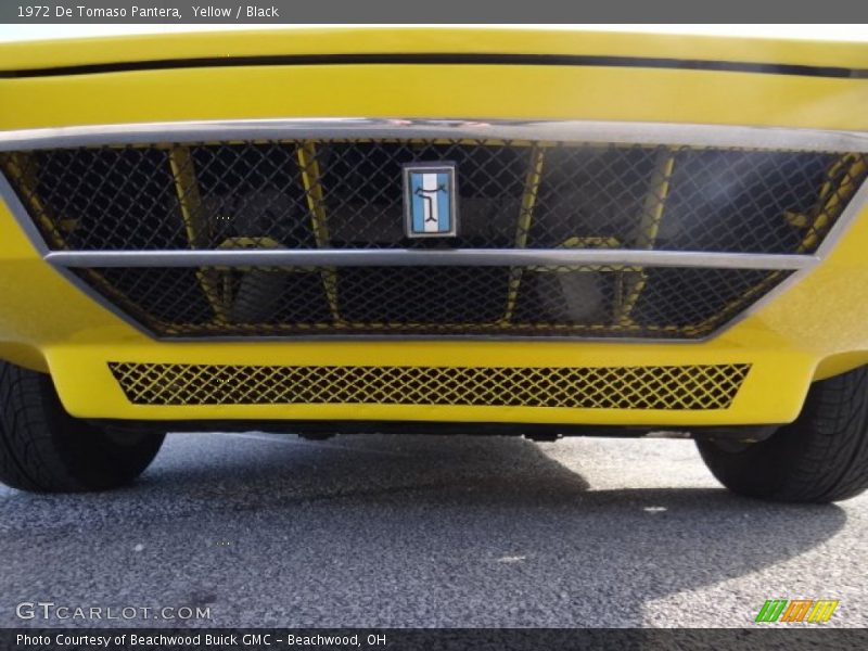 Front Grill - 1972 De Tomaso Pantera 