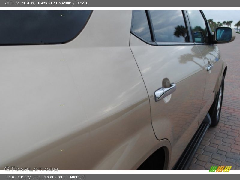 Mesa Beige Metallic / Saddle 2001 Acura MDX