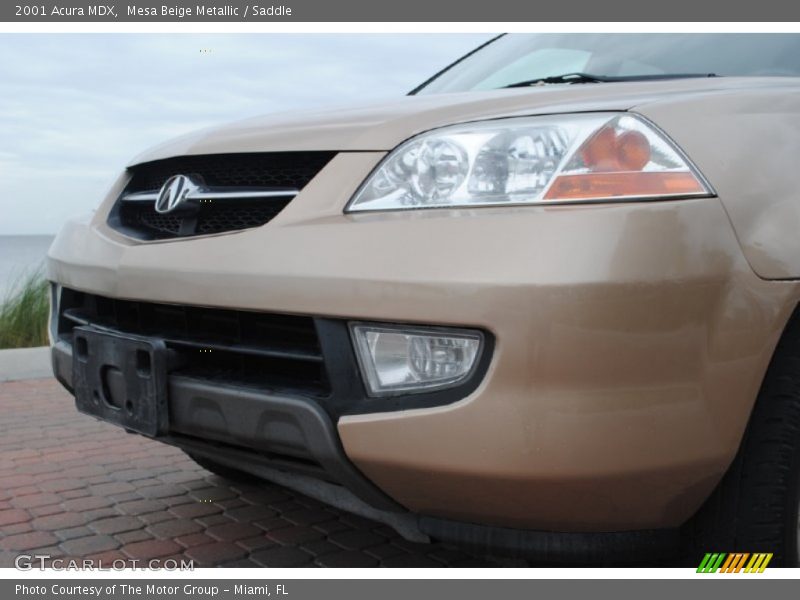 Mesa Beige Metallic / Saddle 2001 Acura MDX