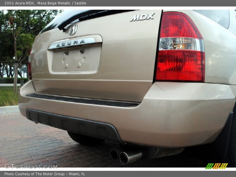 Mesa Beige Metallic / Saddle 2001 Acura MDX