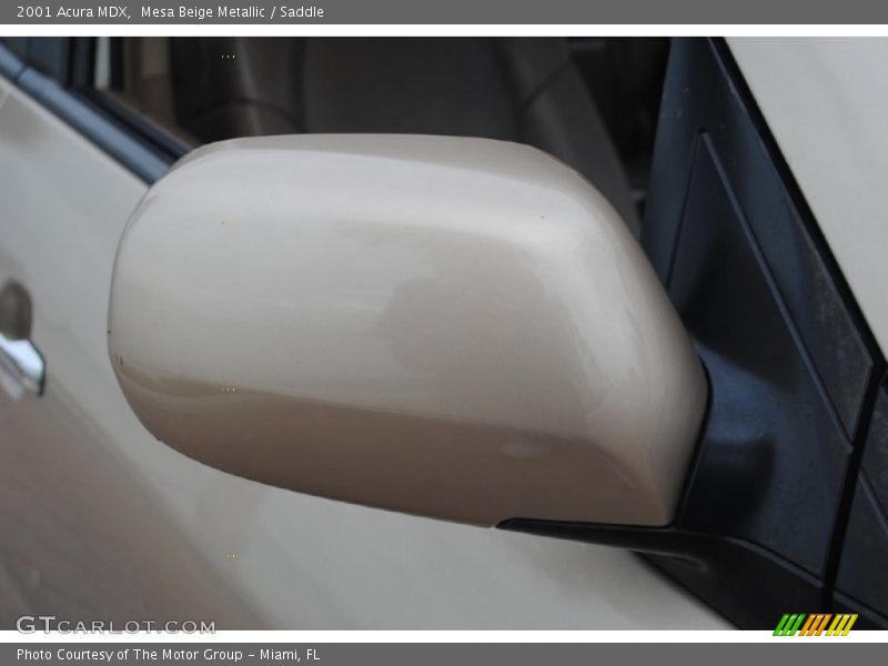 Mesa Beige Metallic / Saddle 2001 Acura MDX