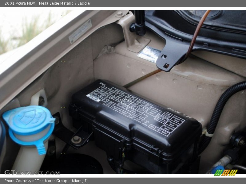Mesa Beige Metallic / Saddle 2001 Acura MDX