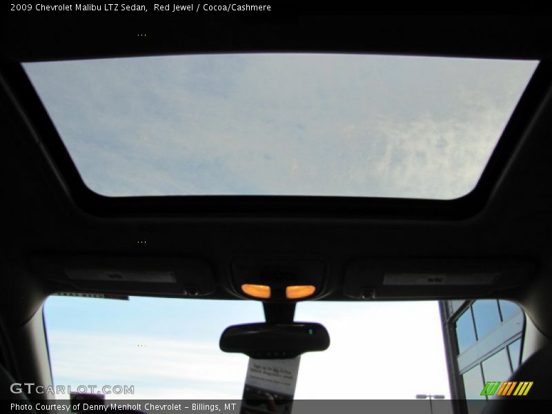 Red Jewel / Cocoa/Cashmere 2009 Chevrolet Malibu LTZ Sedan
