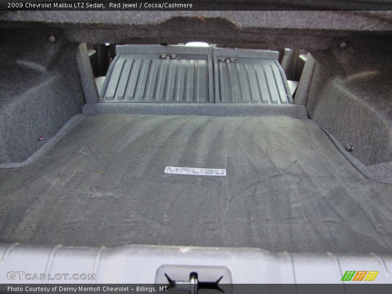 Red Jewel / Cocoa/Cashmere 2009 Chevrolet Malibu LTZ Sedan