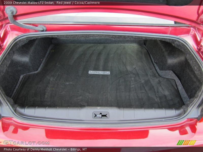 Red Jewel / Cocoa/Cashmere 2009 Chevrolet Malibu LTZ Sedan