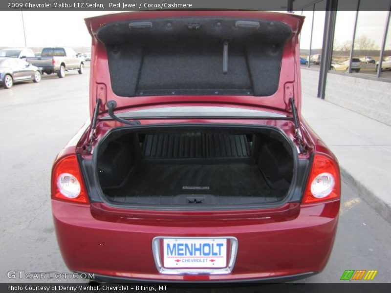 Red Jewel / Cocoa/Cashmere 2009 Chevrolet Malibu LTZ Sedan