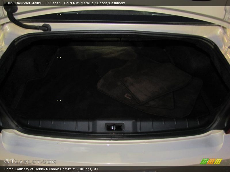 Gold Mist Metallic / Cocoa/Cashmere 2009 Chevrolet Malibu LTZ Sedan
