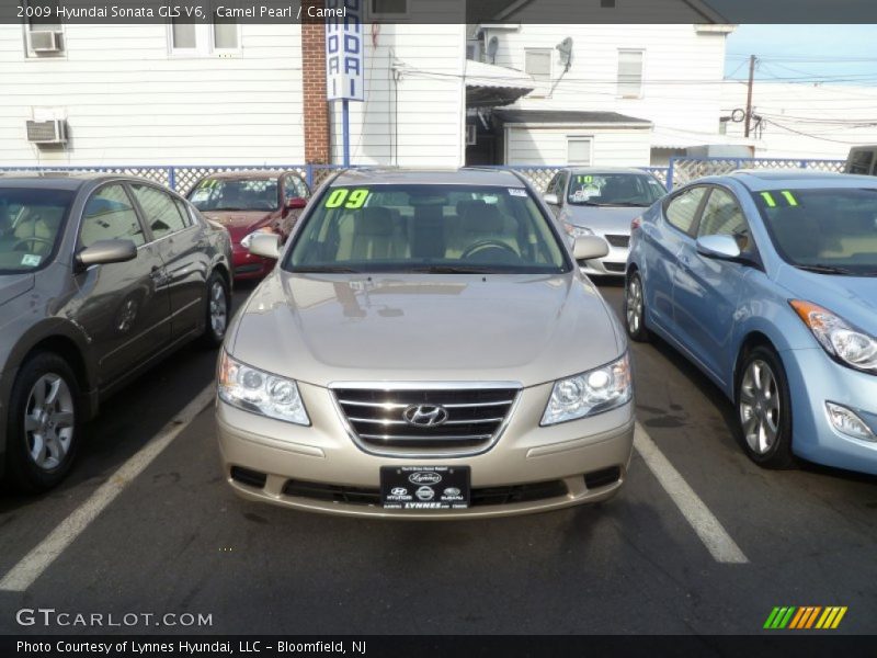 Camel Pearl / Camel 2009 Hyundai Sonata GLS V6