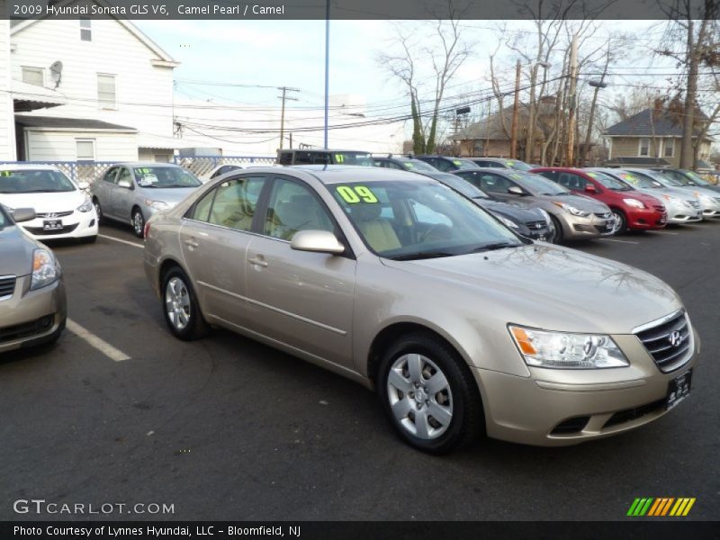 Camel Pearl / Camel 2009 Hyundai Sonata GLS V6