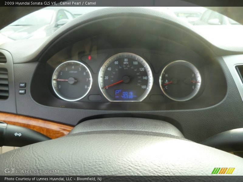Camel Pearl / Camel 2009 Hyundai Sonata GLS V6