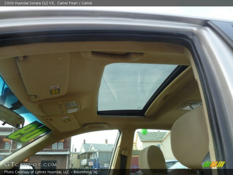 Camel Pearl / Camel 2009 Hyundai Sonata GLS V6