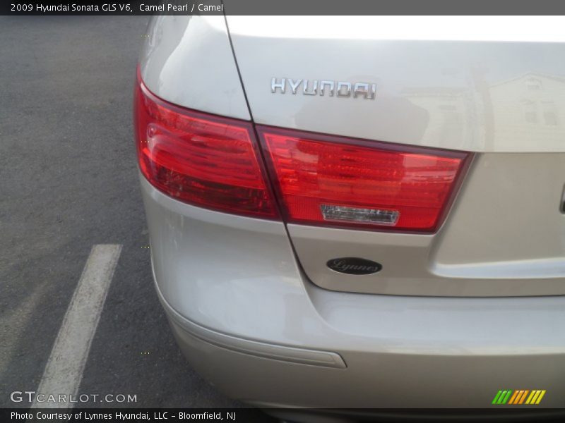 Camel Pearl / Camel 2009 Hyundai Sonata GLS V6