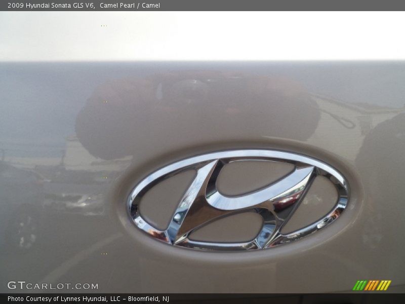 Camel Pearl / Camel 2009 Hyundai Sonata GLS V6