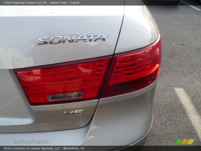 Camel Pearl / Camel 2009 Hyundai Sonata GLS V6