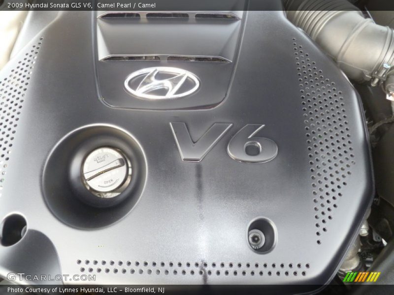 Camel Pearl / Camel 2009 Hyundai Sonata GLS V6