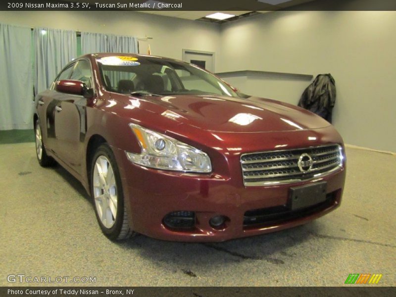 Tuscan Sun Metallic / Charcoal 2009 Nissan Maxima 3.5 SV