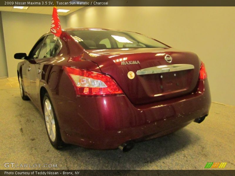 Tuscan Sun Metallic / Charcoal 2009 Nissan Maxima 3.5 SV