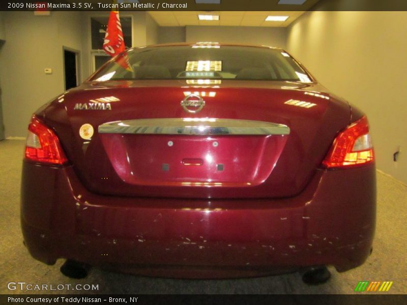 Tuscan Sun Metallic / Charcoal 2009 Nissan Maxima 3.5 SV