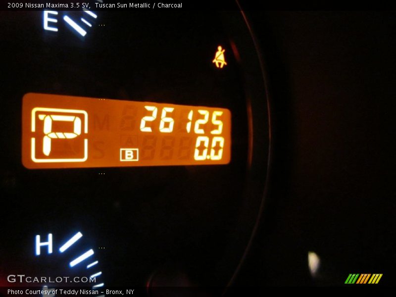 Tuscan Sun Metallic / Charcoal 2009 Nissan Maxima 3.5 SV