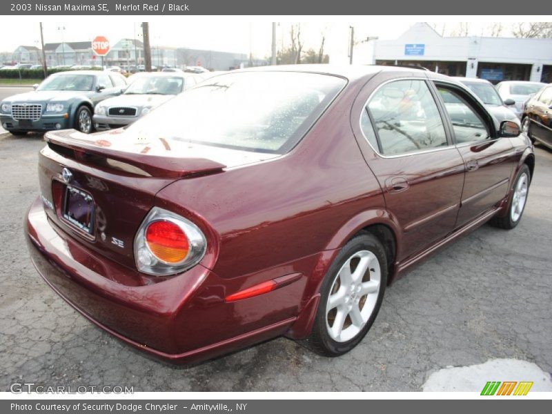 Merlot Red / Black 2003 Nissan Maxima SE