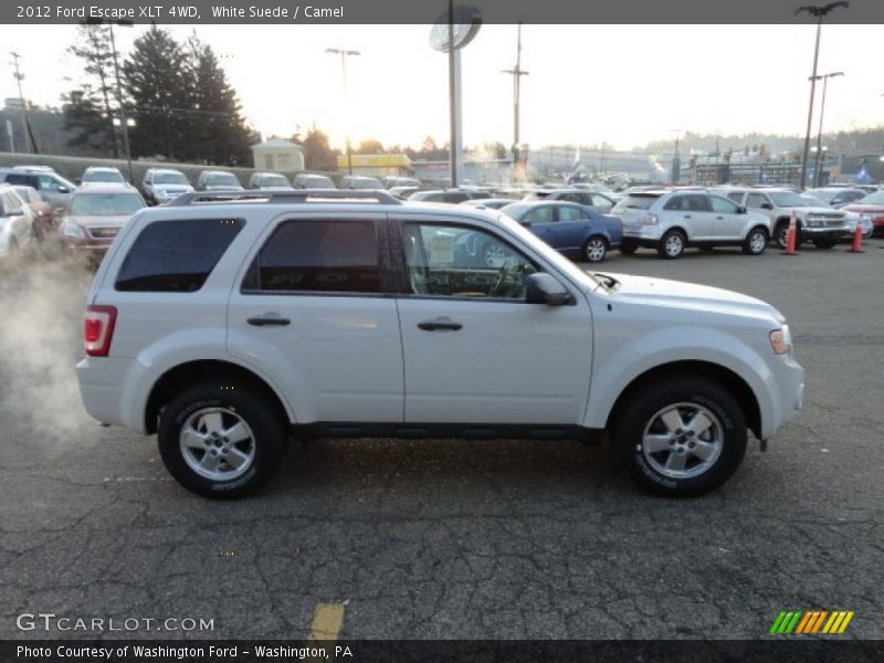 White Suede / Camel 2012 Ford Escape XLT 4WD