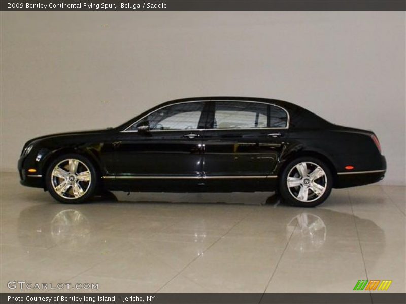 Beluga / Saddle 2009 Bentley Continental Flying Spur