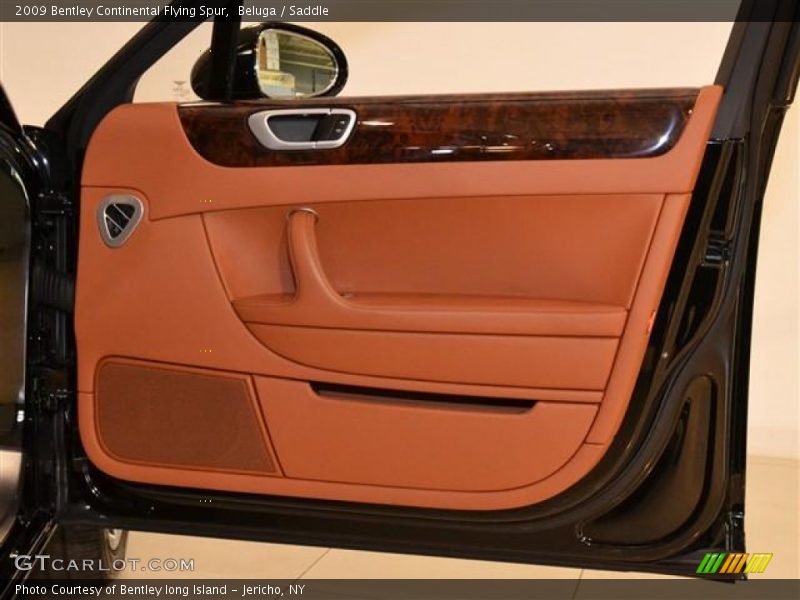 Door Panel of 2009 Continental Flying Spur 