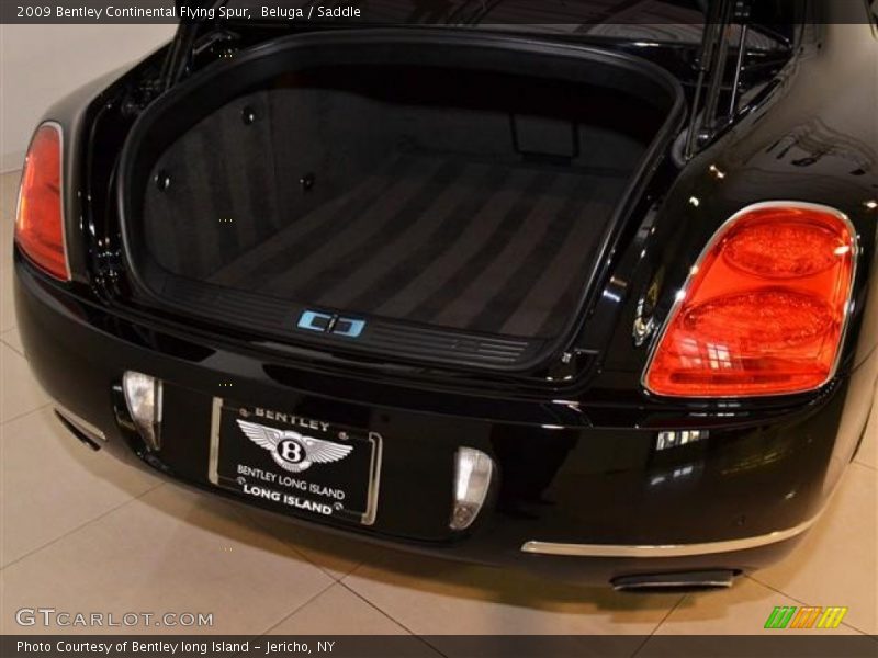 Beluga / Saddle 2009 Bentley Continental Flying Spur
