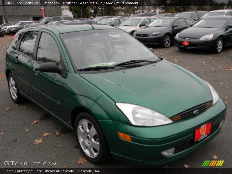 Grabber Green Metallic / Medium Parchment 2002 Ford Focus ZX5 Hatchback