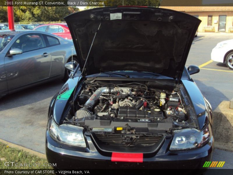Black / Dark Charcoal 2003 Ford Mustang GT Convertible