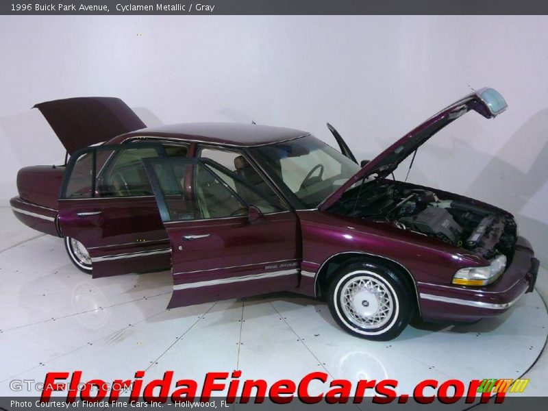Cyclamen Metallic / Gray 1996 Buick Park Avenue