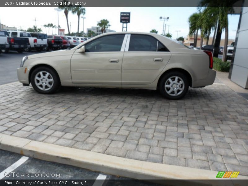 Gold Mist / Ebony 2007 Cadillac CTS Sedan