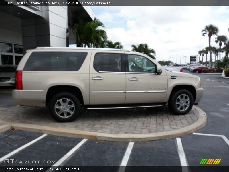 Gold Mist / Cocoa/Cashmere 2009 Cadillac Escalade ESV AWD