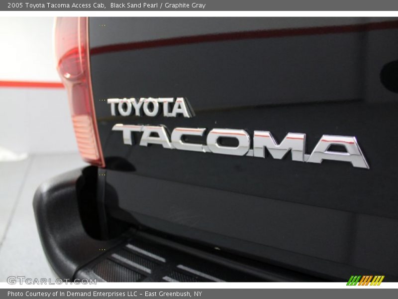 Black Sand Pearl / Graphite Gray 2005 Toyota Tacoma Access Cab
