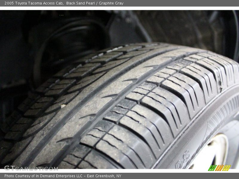 Black Sand Pearl / Graphite Gray 2005 Toyota Tacoma Access Cab