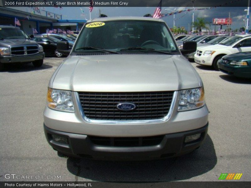 Silver Birch Metallic / Medium Flint Grey 2006 Ford Expedition XLT