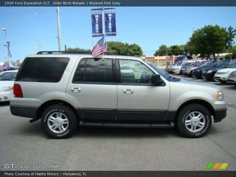 Silver Birch Metallic / Medium Flint Grey 2006 Ford Expedition XLT