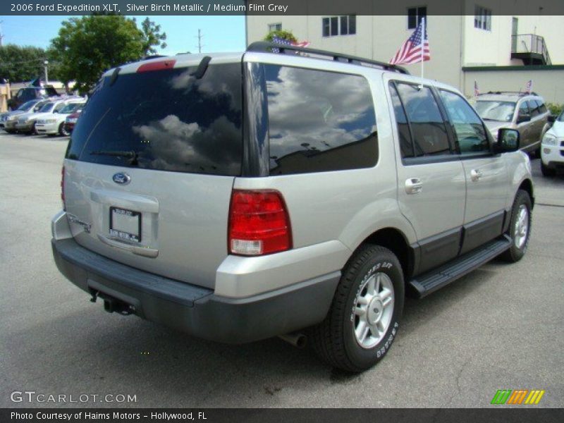 Silver Birch Metallic / Medium Flint Grey 2006 Ford Expedition XLT