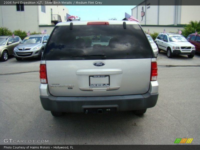 Silver Birch Metallic / Medium Flint Grey 2006 Ford Expedition XLT
