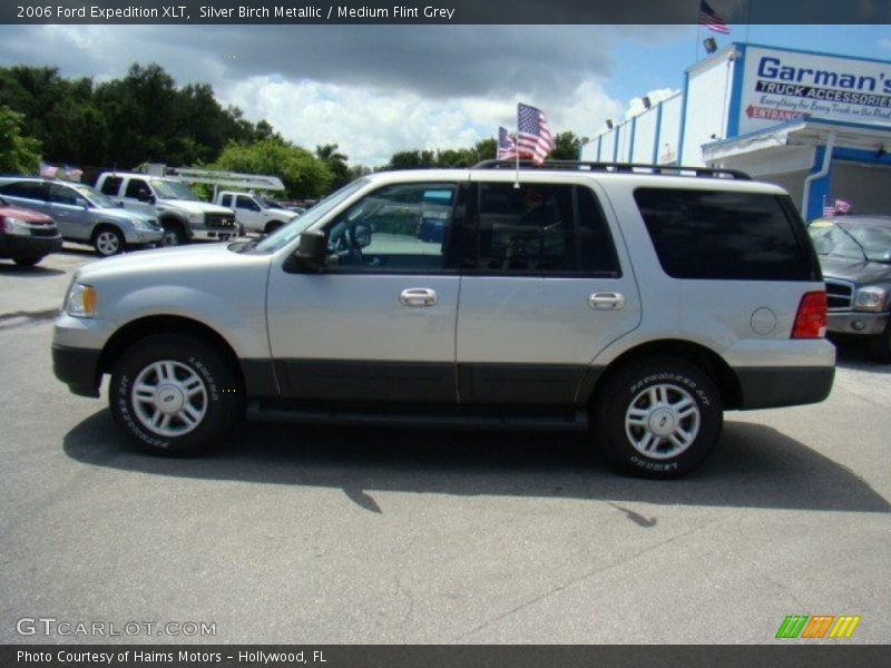 Silver Birch Metallic / Medium Flint Grey 2006 Ford Expedition XLT