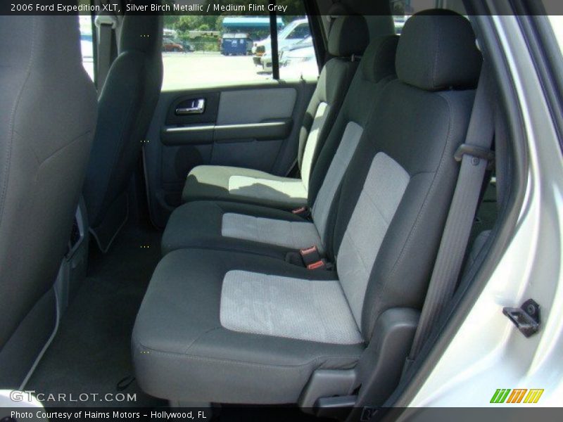 Silver Birch Metallic / Medium Flint Grey 2006 Ford Expedition XLT