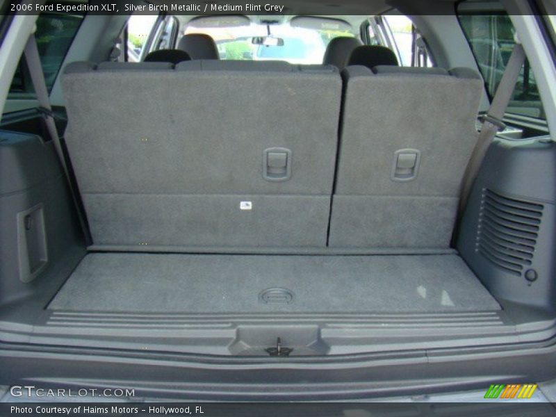 Silver Birch Metallic / Medium Flint Grey 2006 Ford Expedition XLT