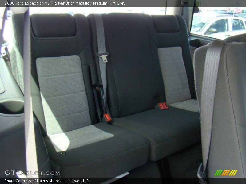 Silver Birch Metallic / Medium Flint Grey 2006 Ford Expedition XLT