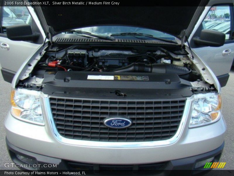 Silver Birch Metallic / Medium Flint Grey 2006 Ford Expedition XLT