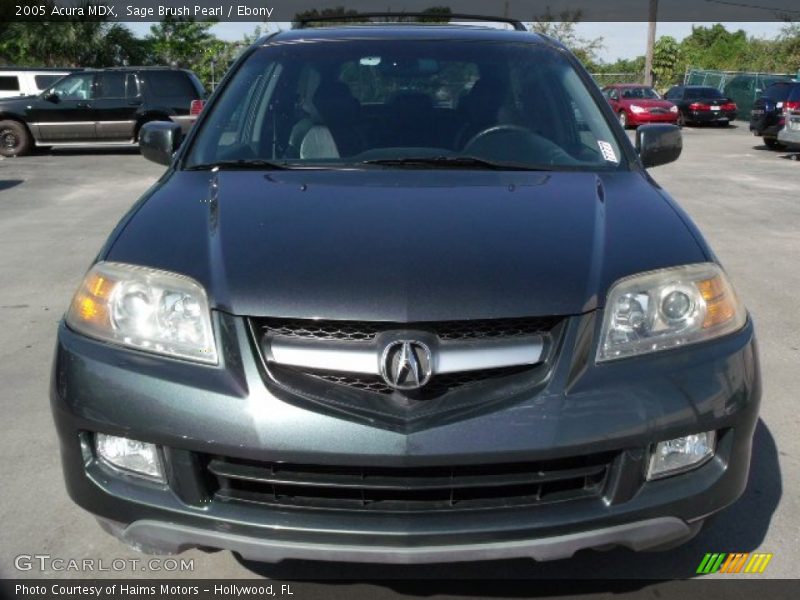 Sage Brush Pearl / Ebony 2005 Acura MDX