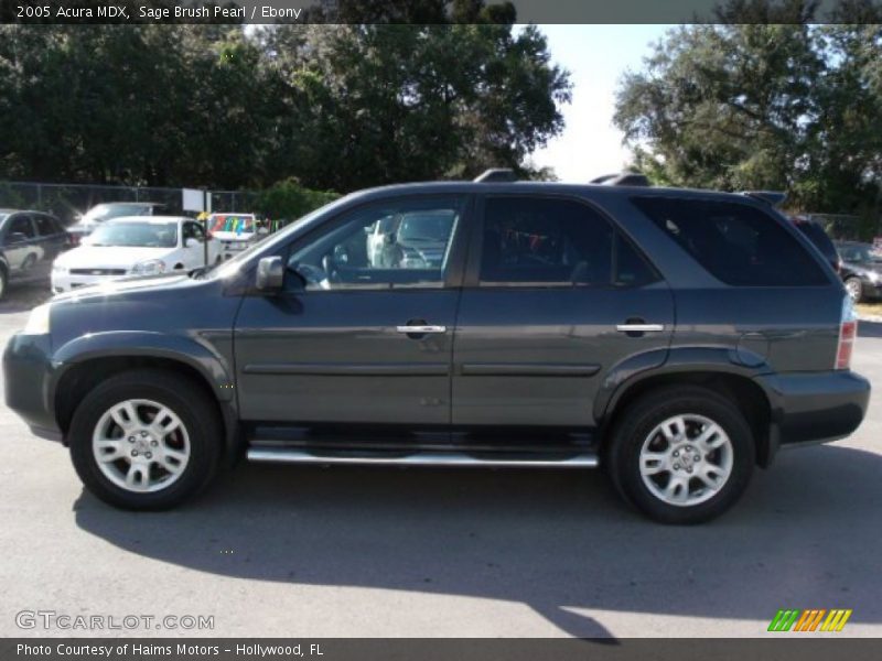 Sage Brush Pearl / Ebony 2005 Acura MDX