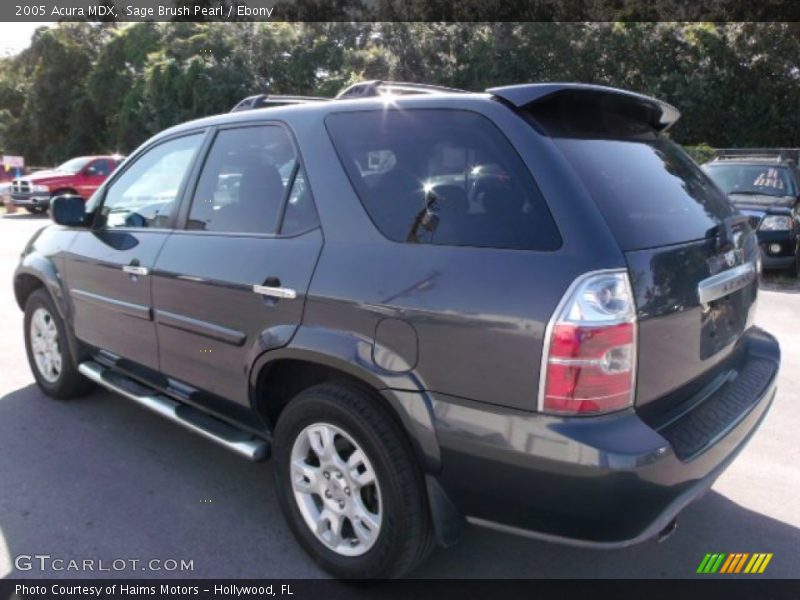 Sage Brush Pearl / Ebony 2005 Acura MDX